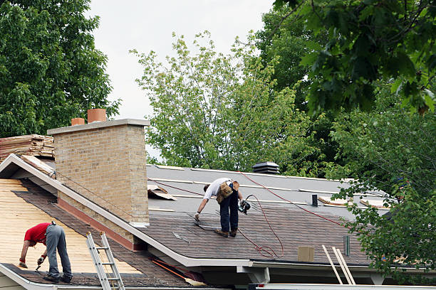 Quick and Trustworthy Emergency Roof Repair Services in Bardmoor, FL